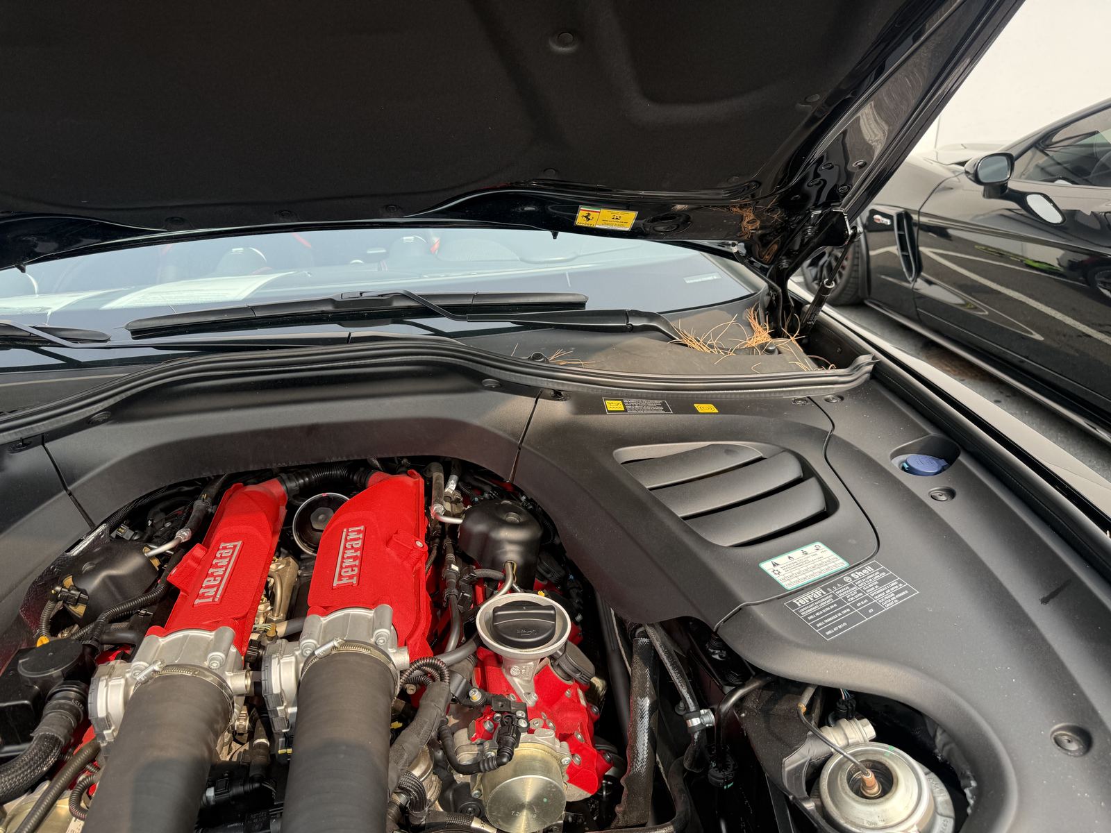 Ferrari engine bay detail